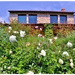 Villa Capanna Comfortable Certaldo