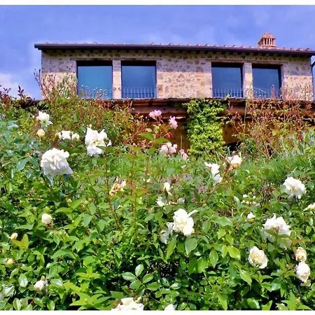 Villa Capanna Comfortable Certaldo